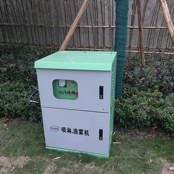 成功案例